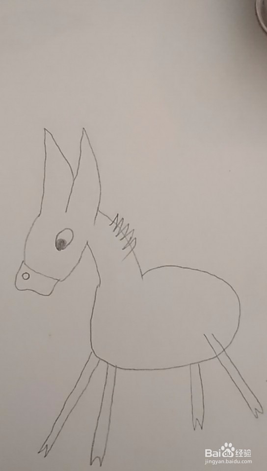 多妈简笔画动物一只小毛驴