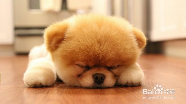 经常睡午觉的好处