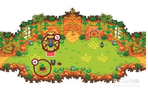 口袋妖怪时之探险队攻略