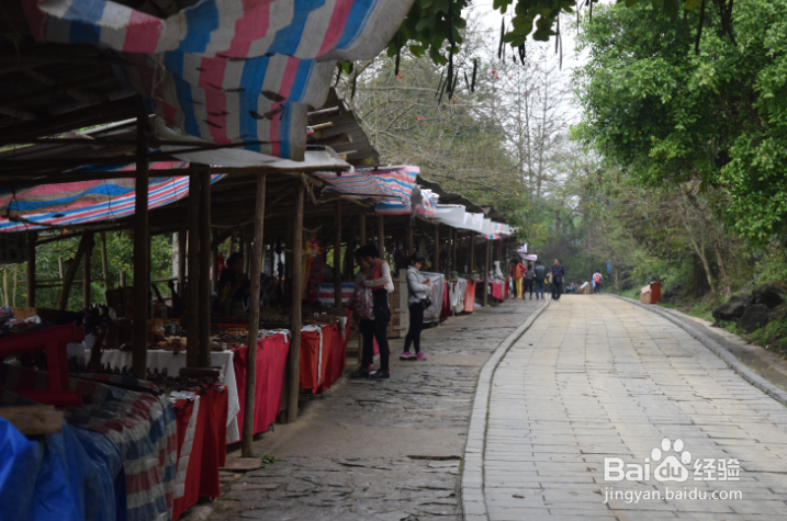 广西德天瀑布自助游攻略