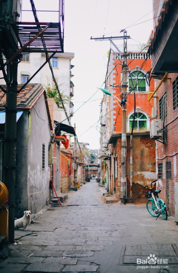 海丝之路闽南之魂从你的泉州“泉世界”路过