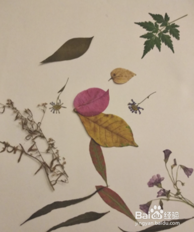 树叶秋景图的制作