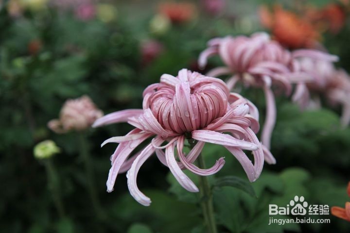 十一金昌旅游5大旅游攻略