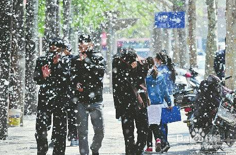 柳树做盆景可以在家养吗怎么都说不能养呢