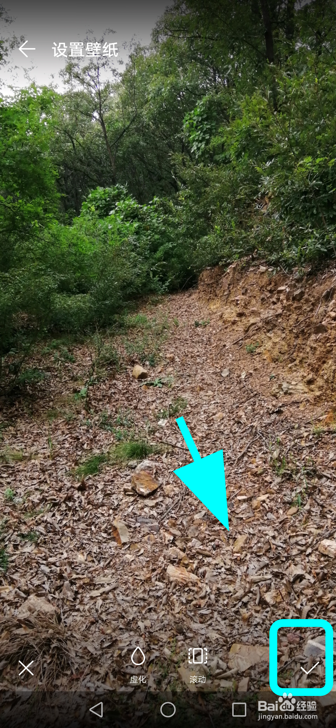 华为手机怎么将照片设为壁纸，照片作为桌面壁纸