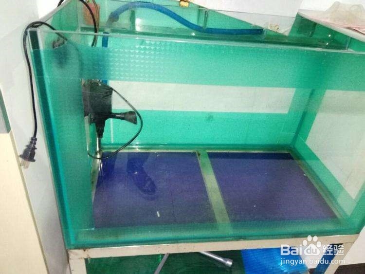 怎么能让鱼缸水泵静音？