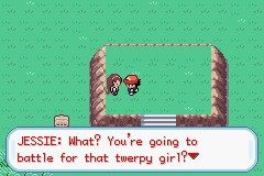 口袋妖怪圣灰攻略图片5