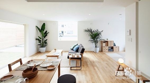 除甲醛新方法，买房装修朋友的福音