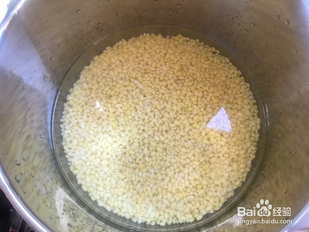 蔓越莓绿豆糕的做法