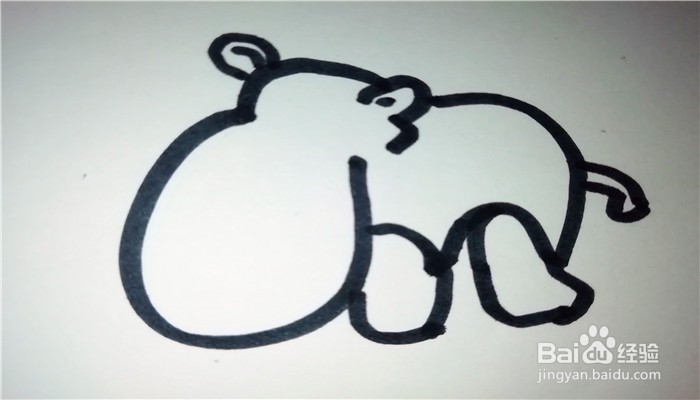 怎么样用简笔画画笨重的河马