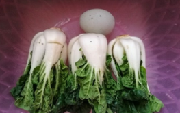 超鲜上汤奶白菜