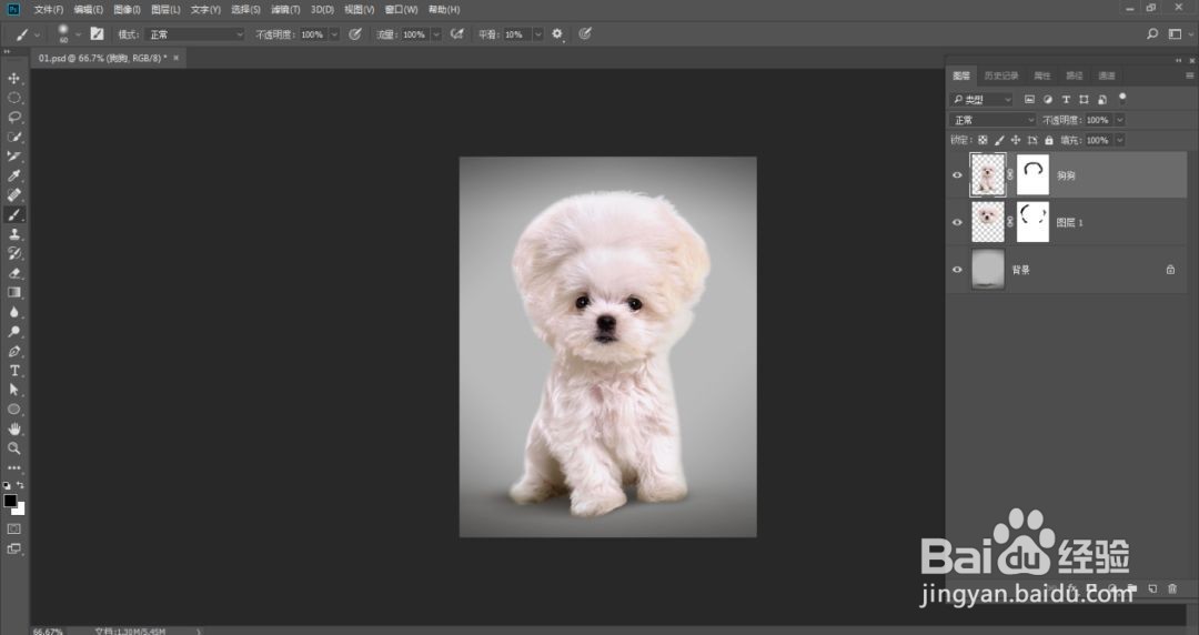 PS教你如何制作时尚汪星人