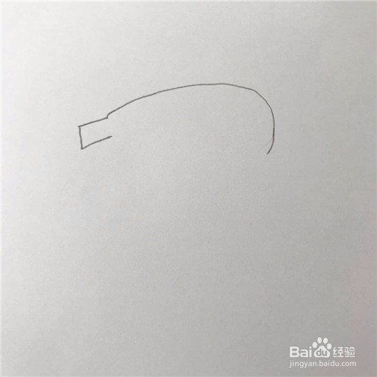 小猪的简笔画画法