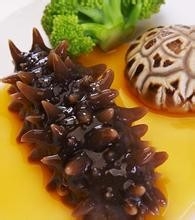 海参如何完美的泡发出来