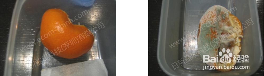水果经固体二氧化氯作用后的变化