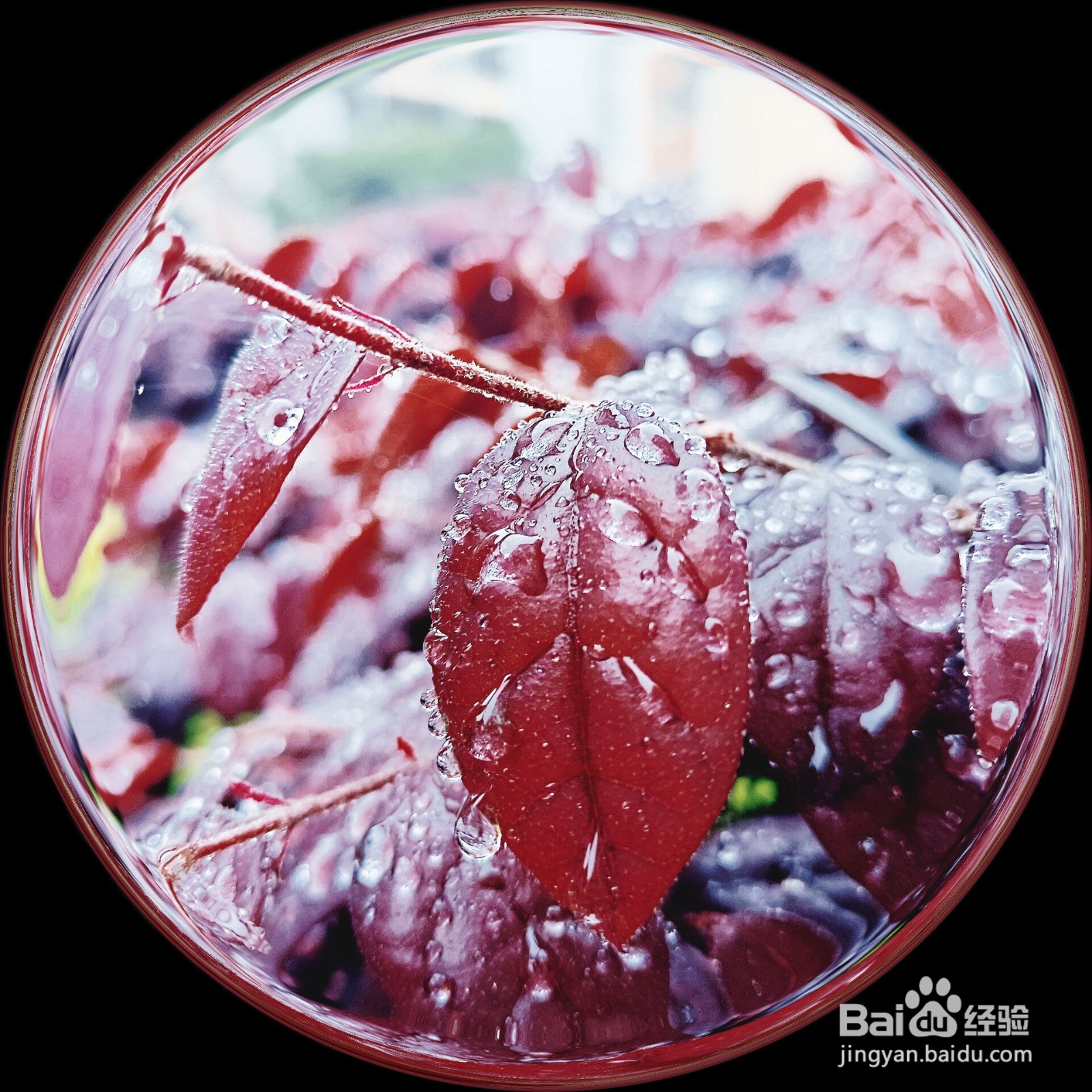 手机如何提高照片清晰度