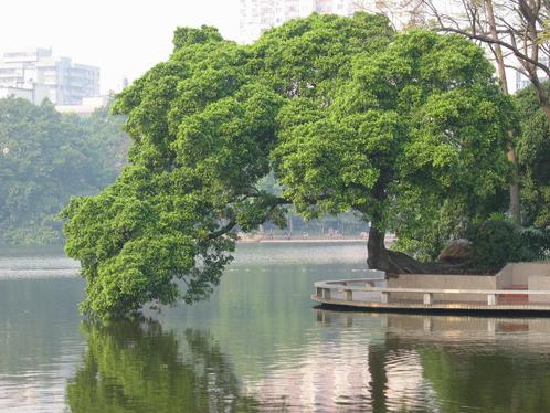广州最佳赏月地集合