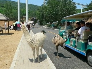 大连好玩的地方