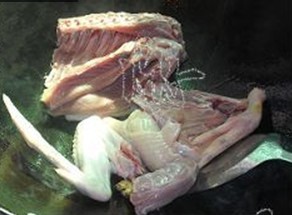 冬瓜老鸭薏米汤