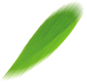 PS端午节字体设计