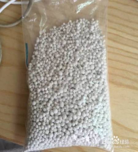 花盆边戳个洞，埋点它，花猛蹿狂长，叶子长成绿瀑布!
