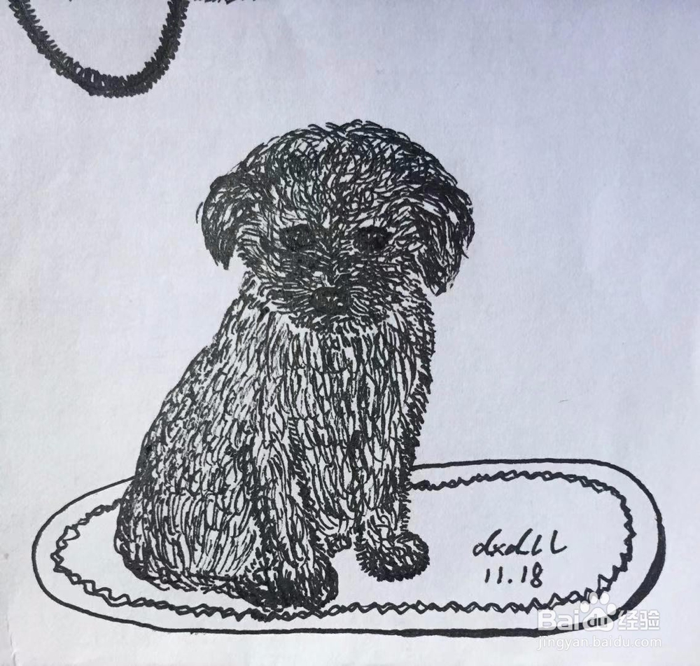 茉莉蜡笔手绘之小泰迪犬