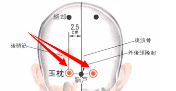 玉枕穴穴位位置图及作用