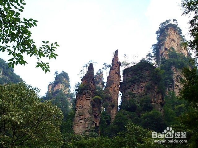 张家界凤凰自助游线路