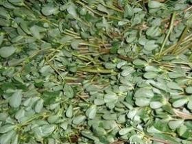 美白祛痘补水的妙招 美白祛痘补水小秘诀