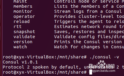 Consul简介及Windows和Linux consul安装_01