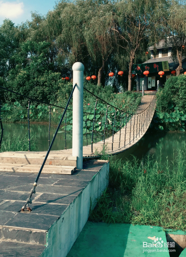 自驾洪泽湖观荷花