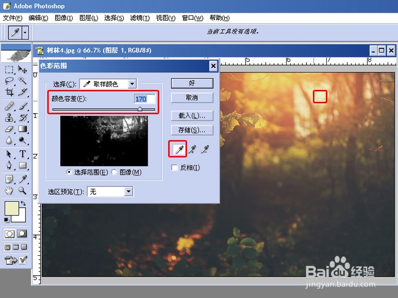 用PHOTOSHOP为树林添加散射光线的效果