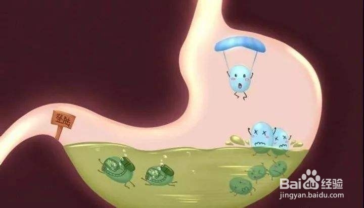 儿童益生菌该如何挑选好？