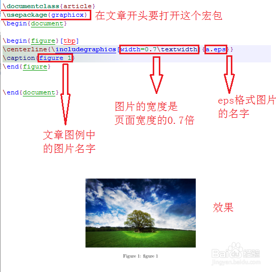 使用latex编辑文档中的图片