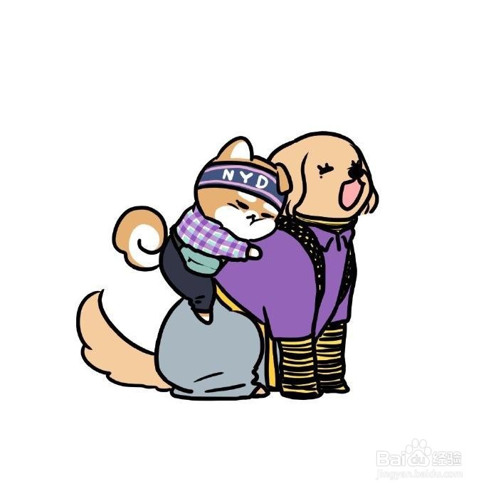 如何养一只金毛犬