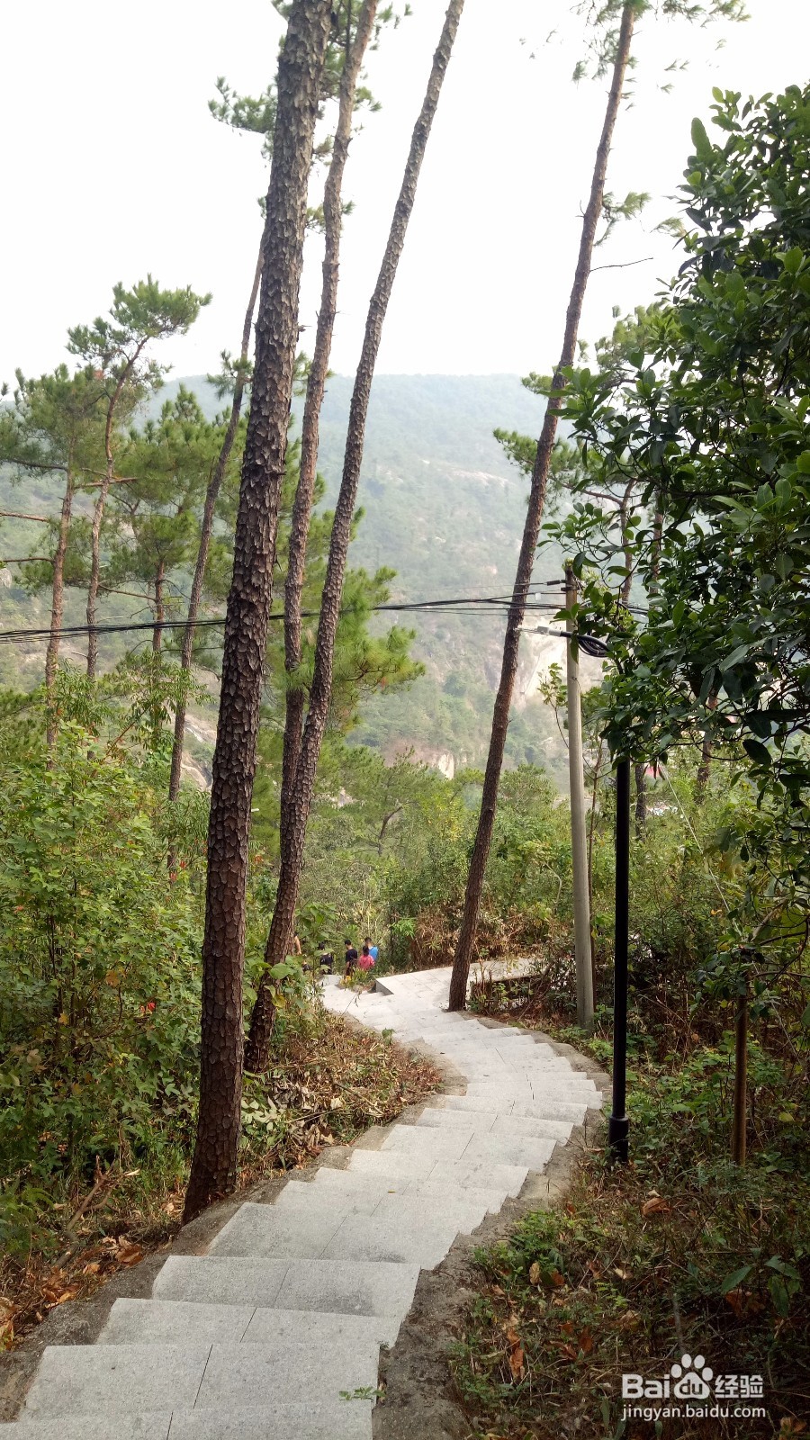 周末徒登芙蓉山