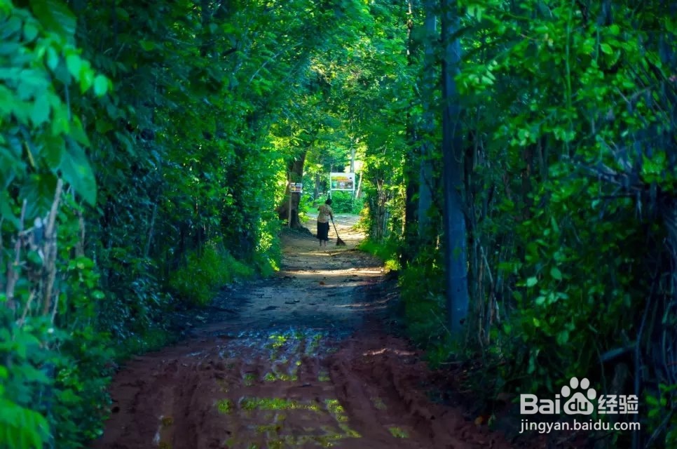 端午放假去哪玩好