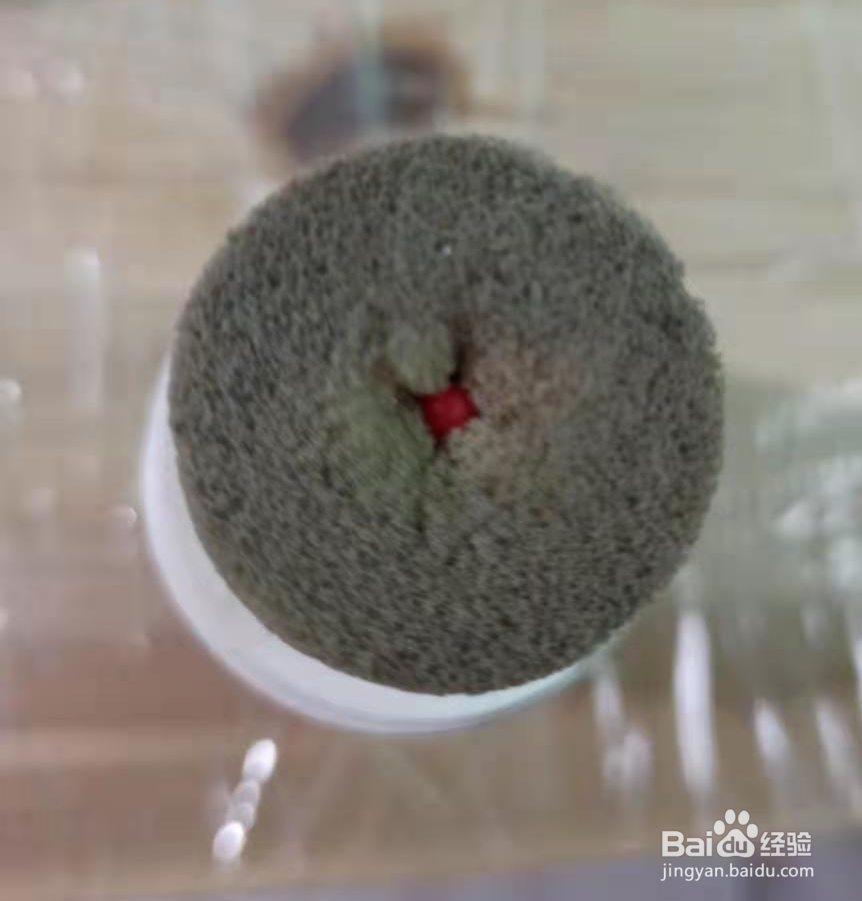 液体鞋油怎么用