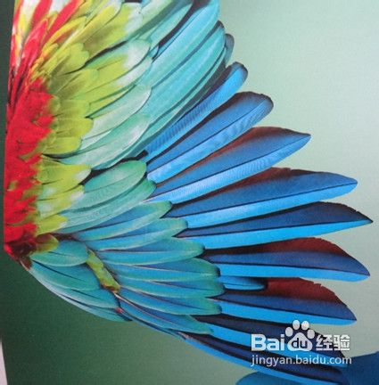 【专业化妆技法】妆容色调的分类