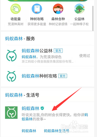 支付宝沙棘汁在哪怎么购买