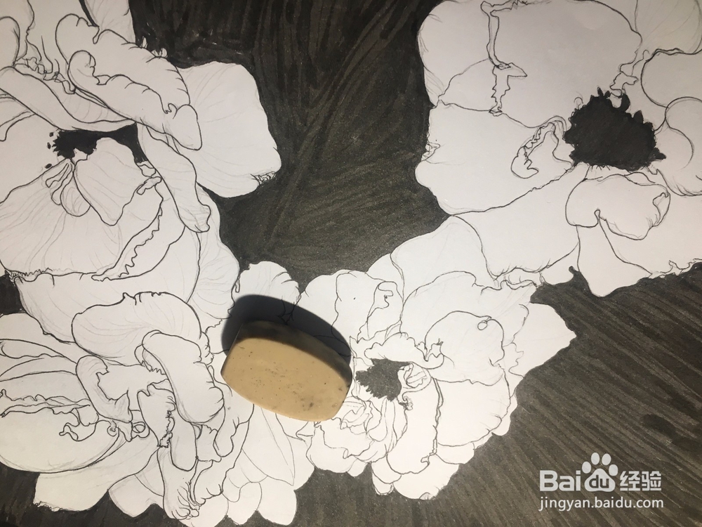 月季花的画法 月季简笔画 三朵月季的线描画教程