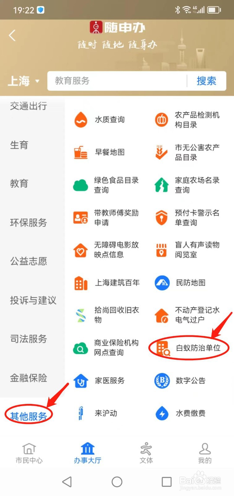 室内白蚁怎么消灭才干净
