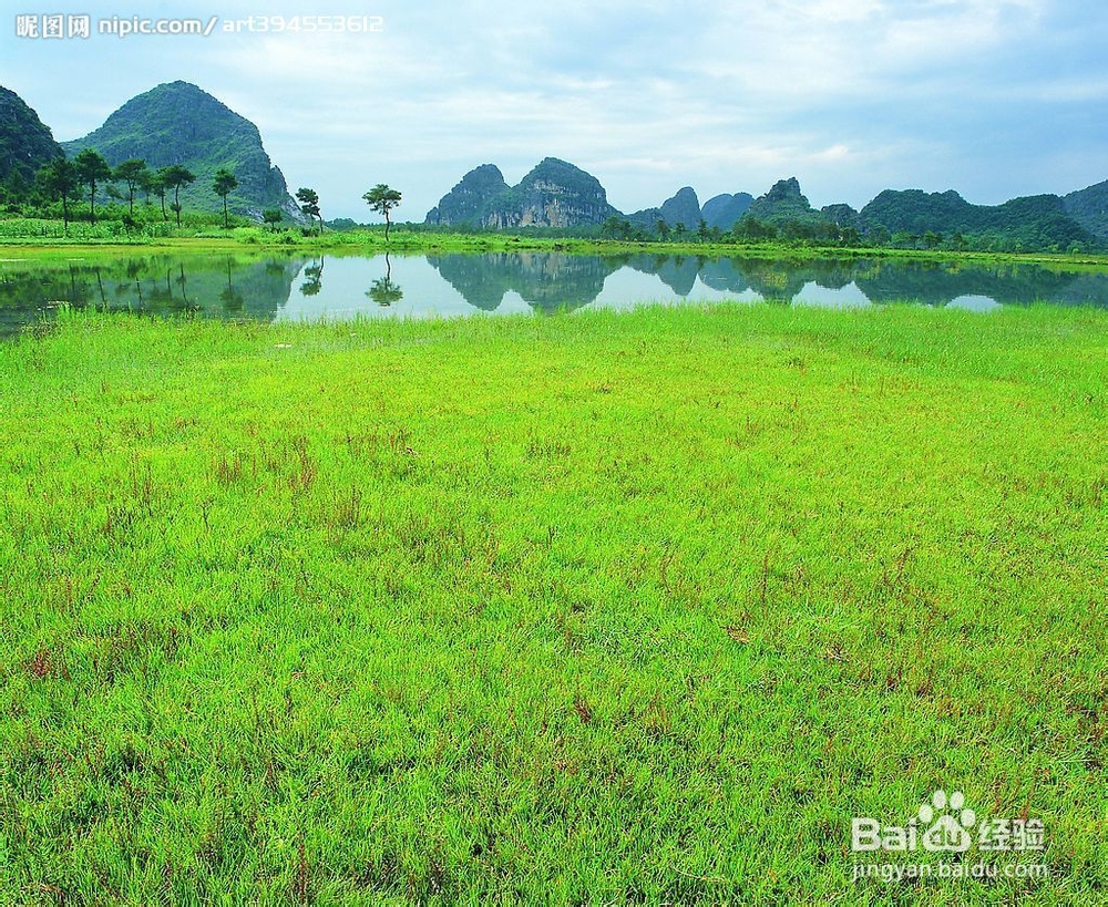 钓鱼最理想的季节选择