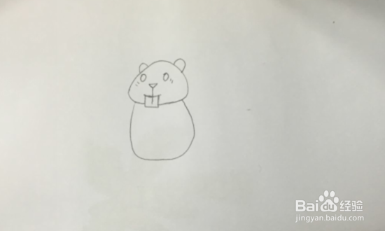 如何画贪吃可爱的小松鼠