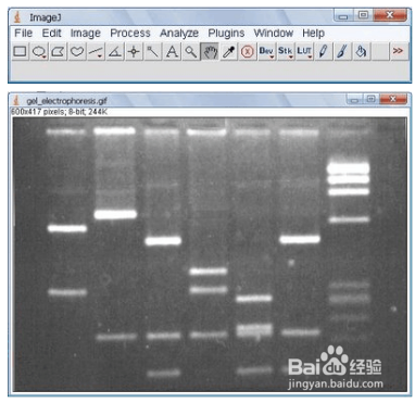 imageJ中文使用方法