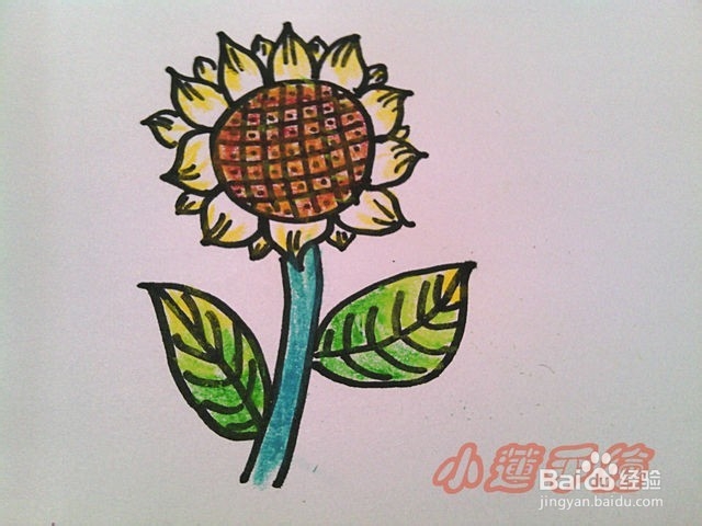 油画棒植物篇3向日葵