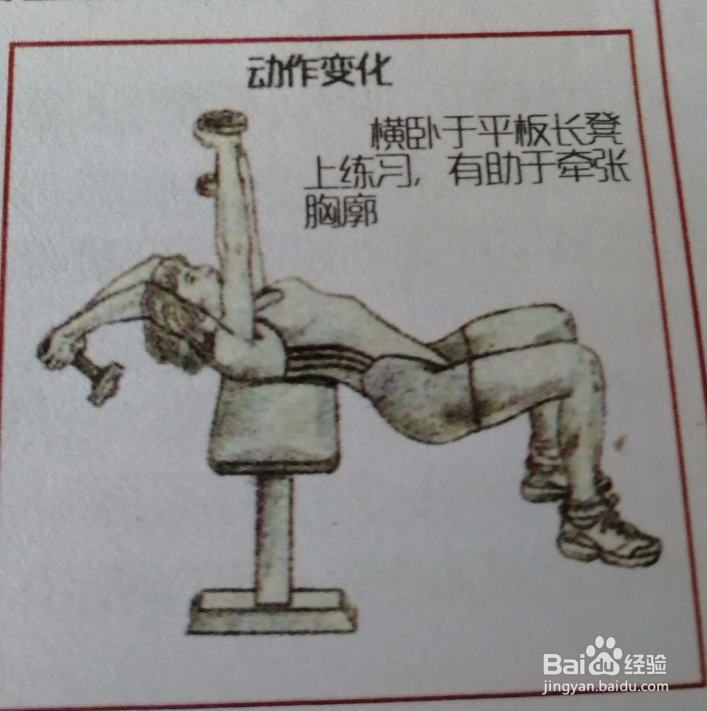 如何练胸部肌肉