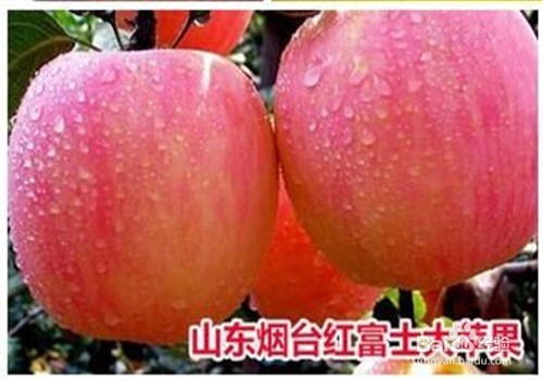 给图片水印打马赛克的简单方法