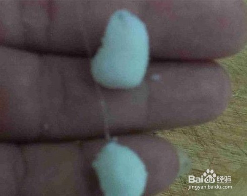 如何自制滑口鱼钓饵