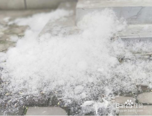 屋里都是柳絮怎么办